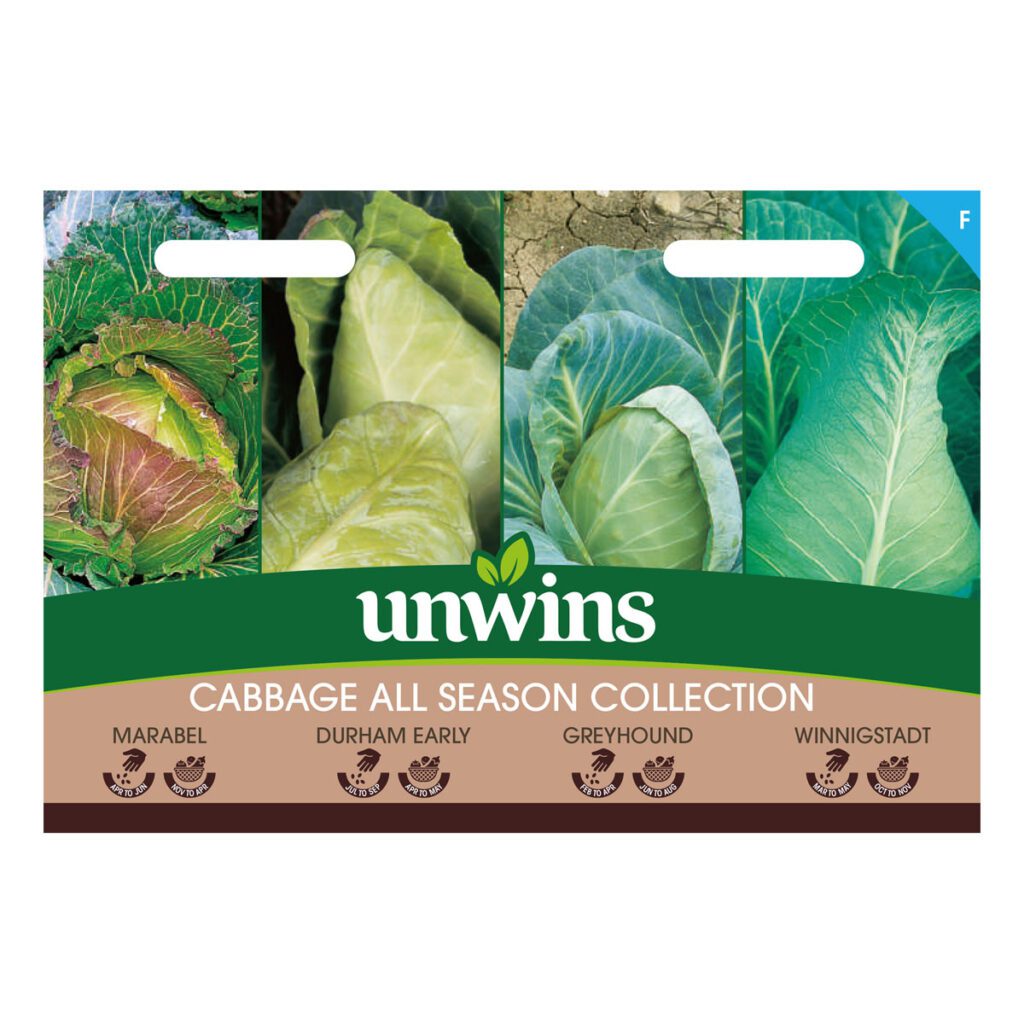 Unwins Cabbage All Season Collection Seeds 5051618036979 2